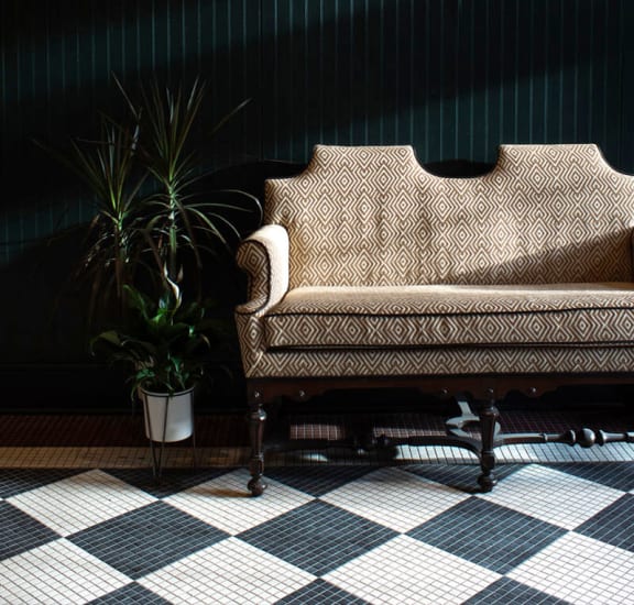 a living room with a couch and a plant