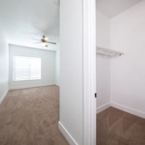 Spacious carpeted bedroom with walk-in closet at Rise Lakeview