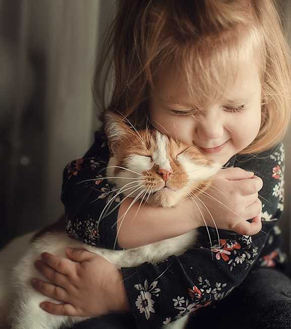 A little girl is hugging a cat.