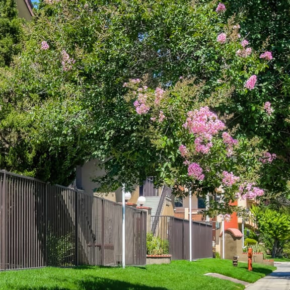 Professionally landscaped grounds at Independence Plaza, Canoga Park, CA