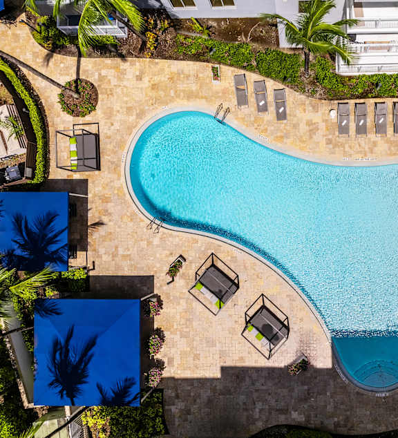 A large swimming pool surrounded by palm trees and lounge chairs.