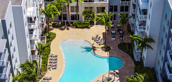 A swimming pool surrounded by palm trees and lounge chairs.