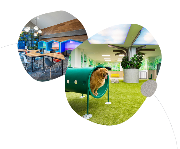 a photo of a dog in a green roll up