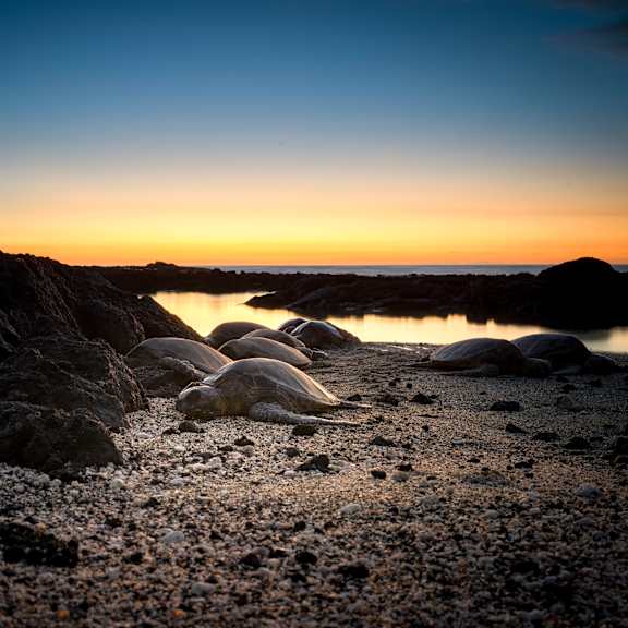 A beach at sunset with rocks in the foreground.