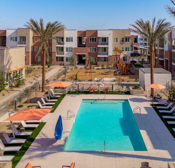 A swimming pool surrounded by sun loungers and palm trees.