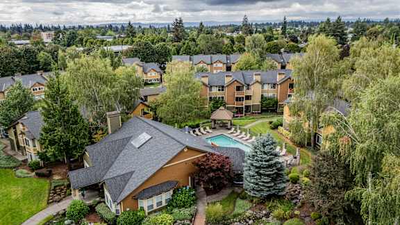 a aerial view of a neighborhood with a pool and trees
