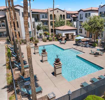 A large swimming pool surrounded by palm trees and lounge chairs.