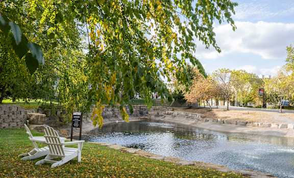 A park with a pond, trees, and a bench.