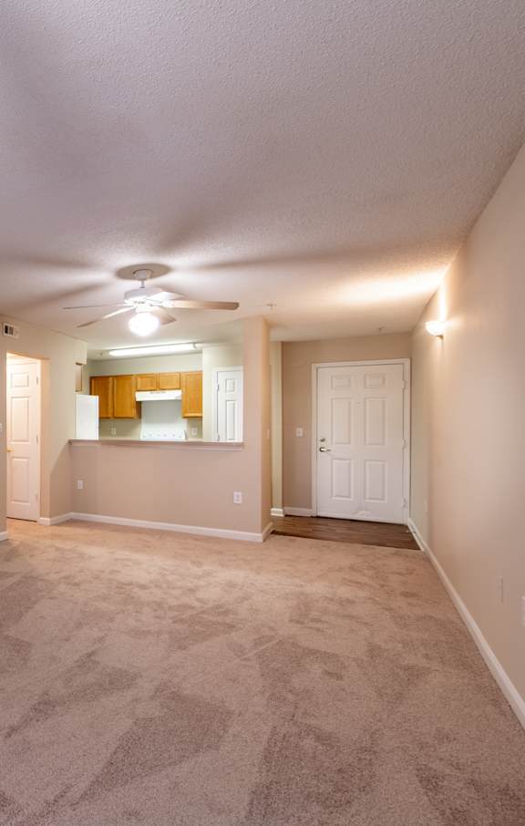 A room with a carpeted floor and a ceiling fan.