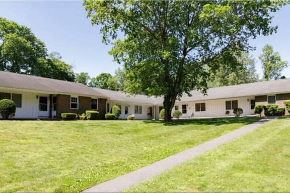 a white and brick house with a tree and a sidewalk