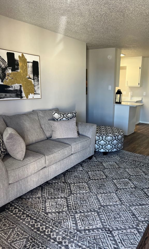 Living Room  at Jackson Way Apartments, Texas