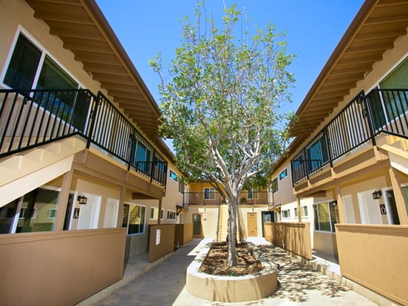 a courtyard with a picnic table and trees in the middle of an apartment building
