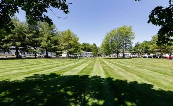 Lush Green Landscaping at Fox Hill Commons, Vernon, CT