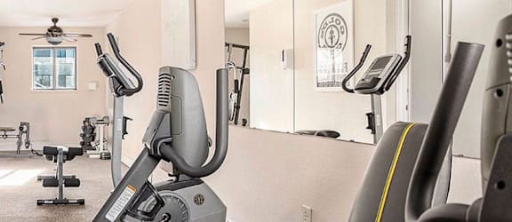 A gym with a row of exercise bikes.