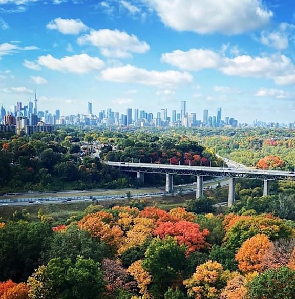 View from Rideau Towers