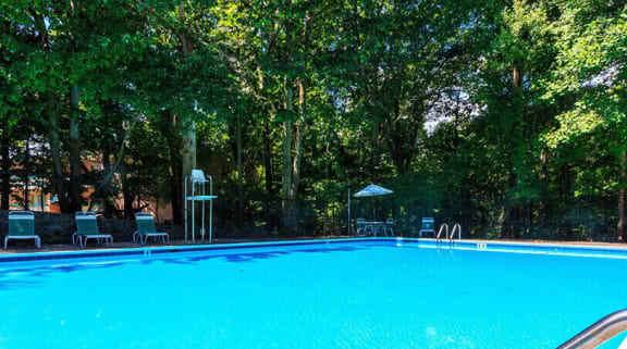 A swimming pool surrounded by trees at The Forest, Rockville, MD 20851