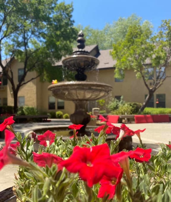 a fountain with red flowers in front of a building