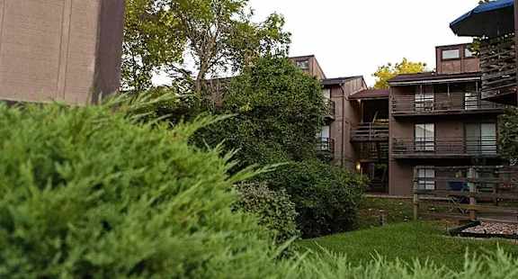 Apartment buildings with balconies surrounded by trees.