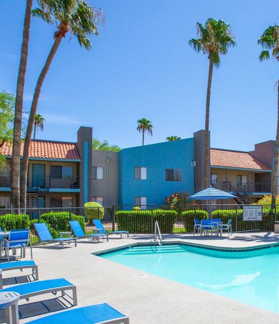 A pool surrounded by palm trees and lounge chairs.