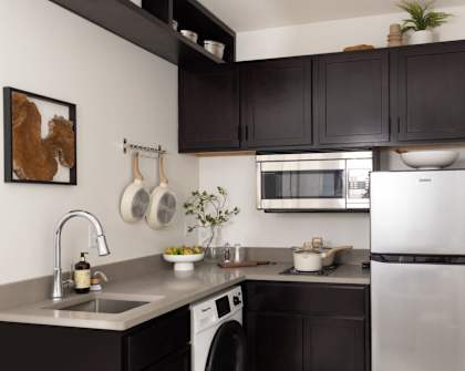 A modern kitchen with black cabinets and stainless steel appliances.