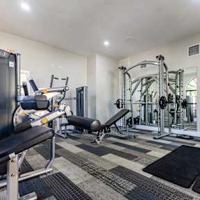 A well-equipped home gym with a variety of exercise machines.