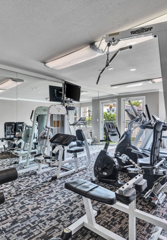 the gym is equipped with a variety of weights and cardio machines