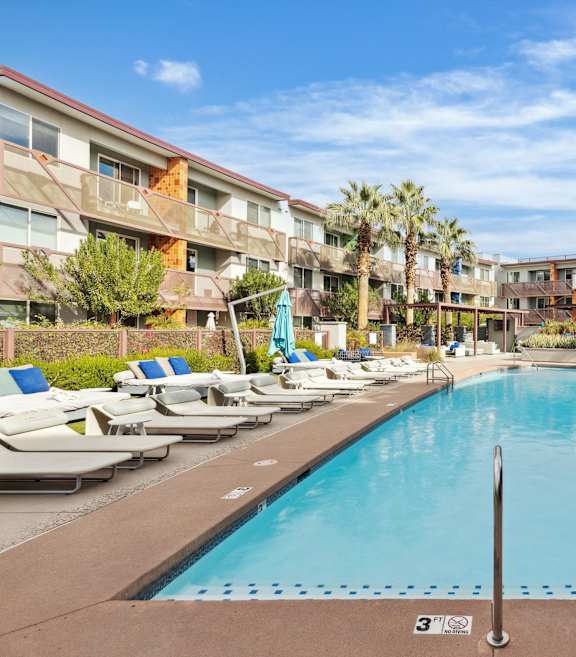 A large swimming pool surrounded by sun loungers and palm trees.