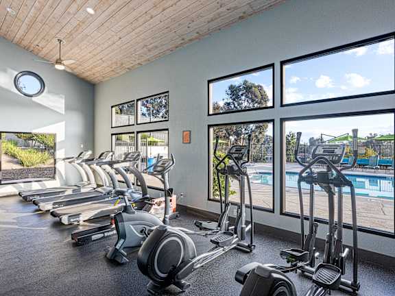 A gym with treadmills and elliptical machines.