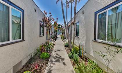 A row of houses with trees and plants in front.