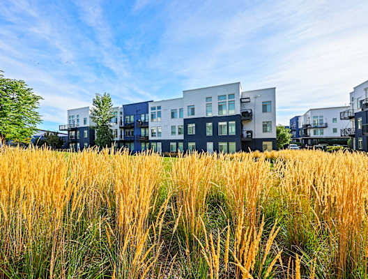 A Field of Tall Grass at 8000 Uptown Apartments, Broomfield, CO, 80021