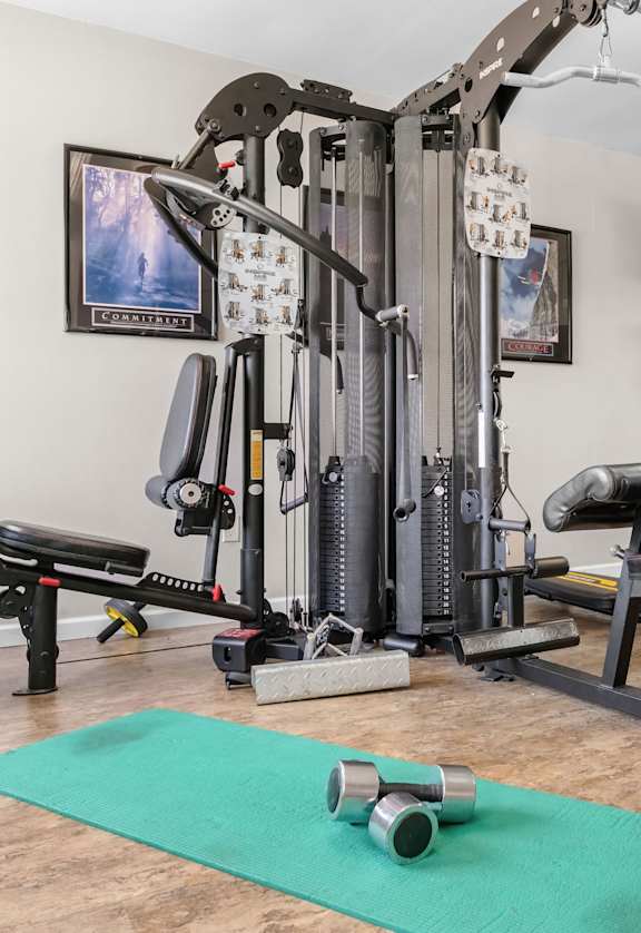 A gym with a green mat and a variety of equipment.