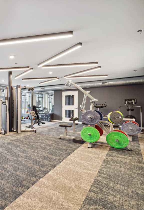 A gym with a variety of equipment including treadmills, weights, and exercise machines.