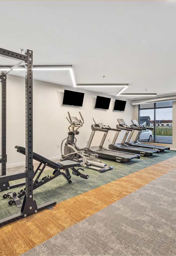 a gym with a row of weights machines and a wall of windows