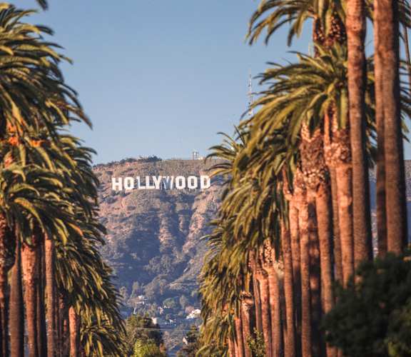 Palm trees frame the iconic Hollywood sign.