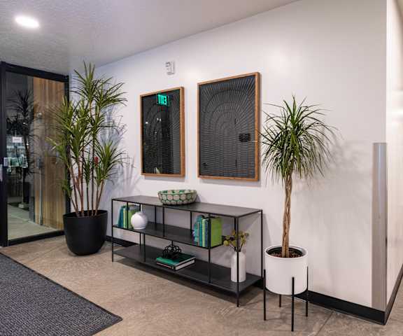 Colony B Interior