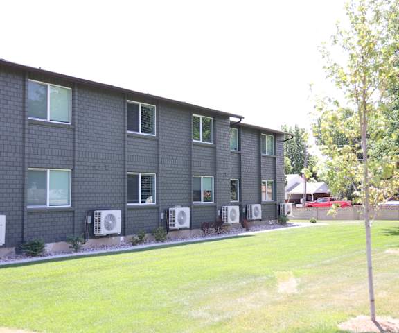 A tree stands in front of a building with air conditioning units outside.