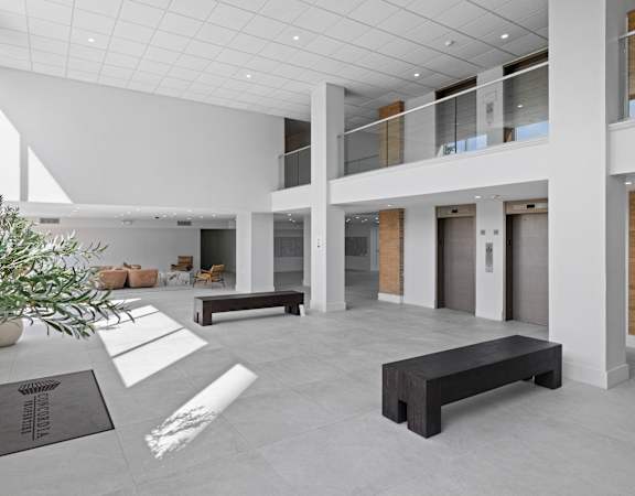 A modern interior space with a white ceiling and a tree in the corner.