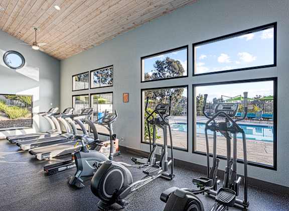 A gym with treadmills and elliptical machines.