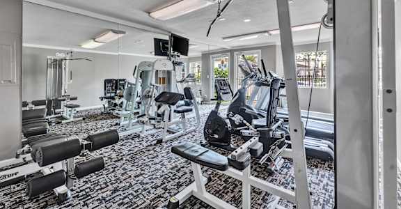 the gym is equipped with a variety of weights and cardio machines
