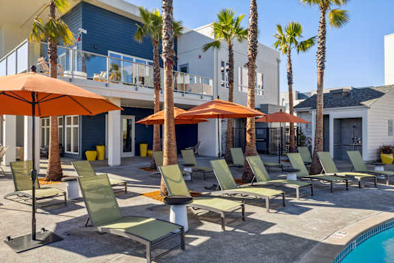 a group of lawn chairs and umbrellas near a pool and a houseat 38° NORTH, Santa Rosa, 95404