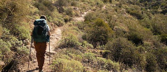 A hiker with a blue backpack is walking on a trail in a desert-like environment.