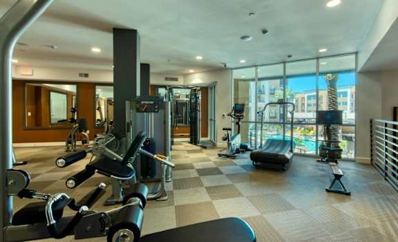 Upgraded gym with cardio equipment and a large window with a view of the city at Elevation SanTan