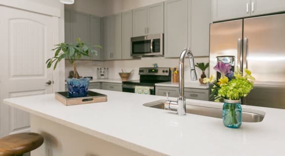 Gourmet kitchen with stainless steel appliances at Proximity Apartments, Charleston, SC