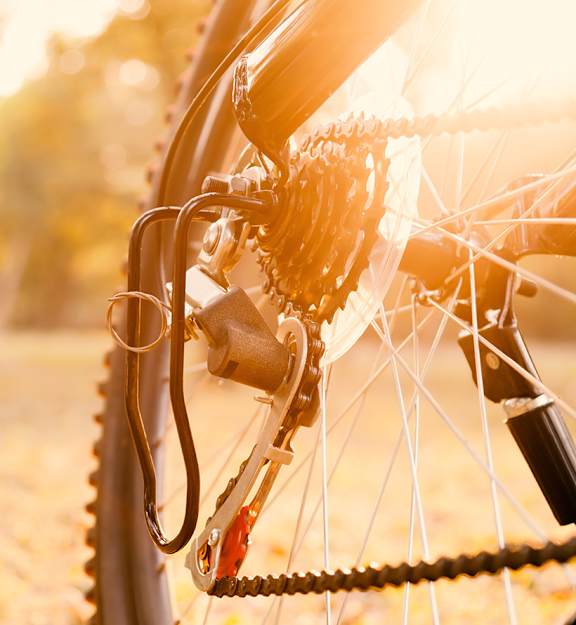 Nearby bike trails - Neighborhood photos