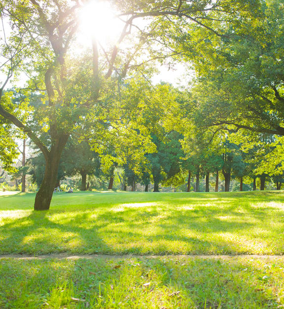 Local parcs and green spaces - Neighborhood stock photo