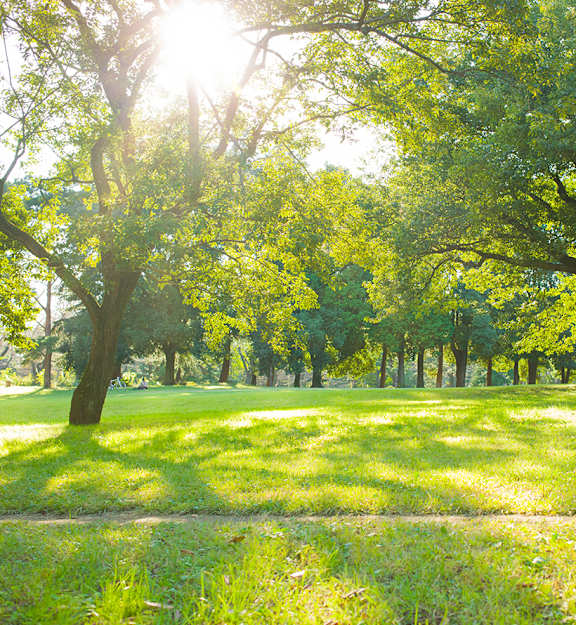Parks and trails nearby - Neighborhood photos