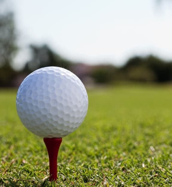 Neighborhood photo - Nearby golf courses