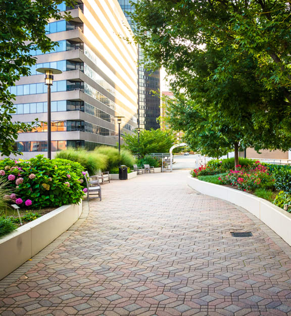 Freedom park nearby - Neighborhood stock photo