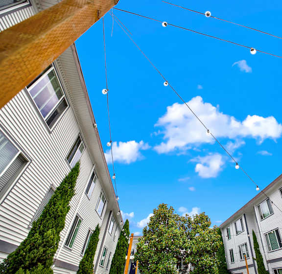 Apartment complex with trees and string lights.