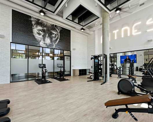 A gym with a variety of equipment including treadmills, weights, and a bench.
